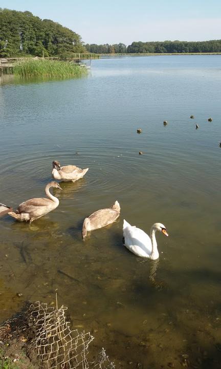 Restaurant Wildpark